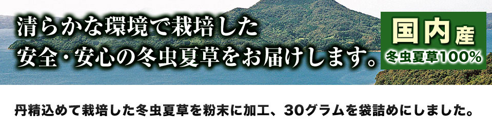 天草産 天然成分100％【冬虫天草】