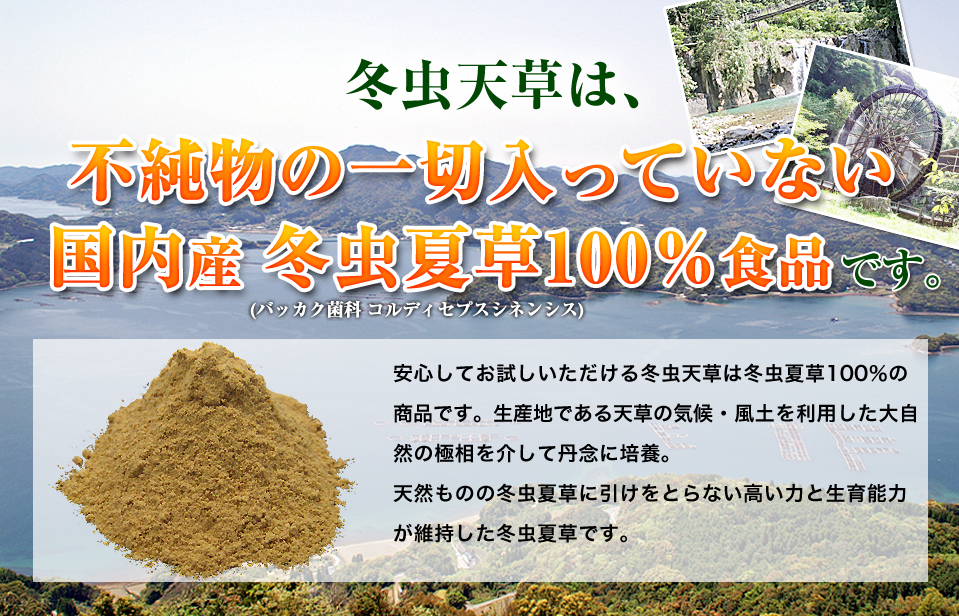 天然成分100％食品