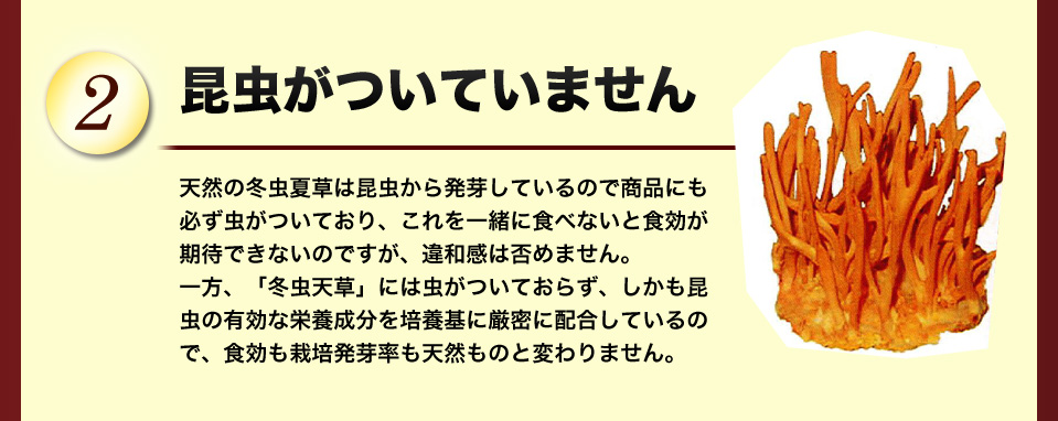 昆虫がついていません