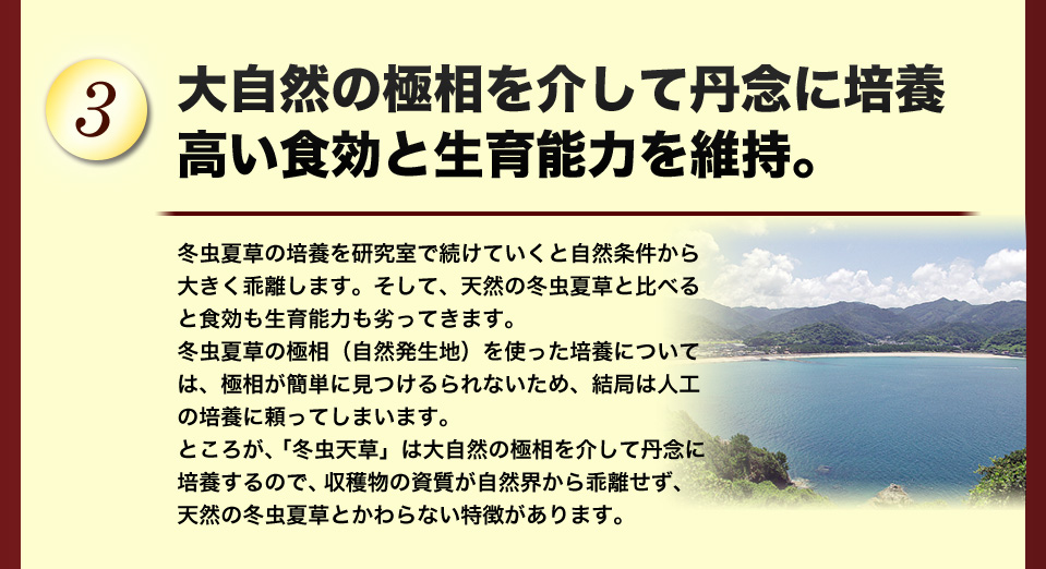 高い食効と生産能力を維持