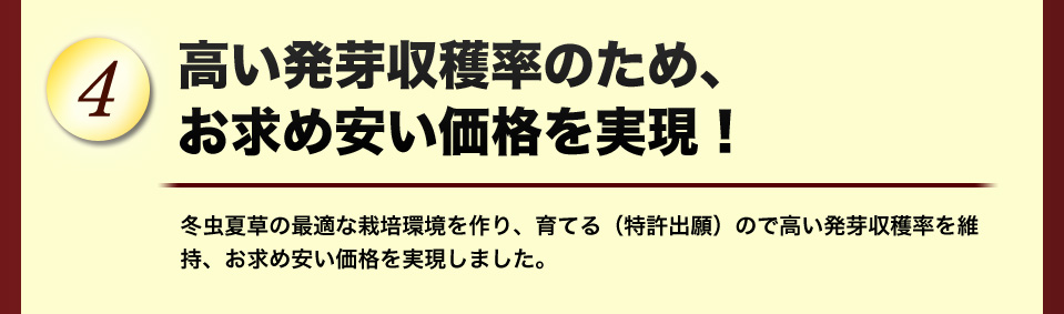 お求め安い価格を実現