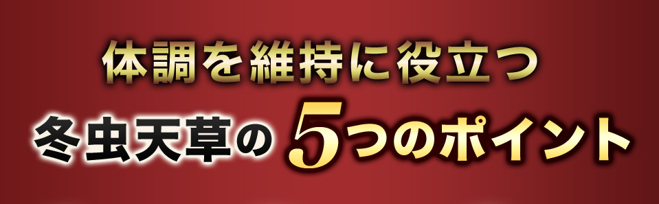 冬虫天草 5つのポイント